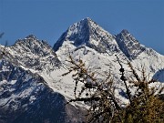 43 Larici colorati d'autunno per il Pizzo del Diavolo imbiancato di neve
